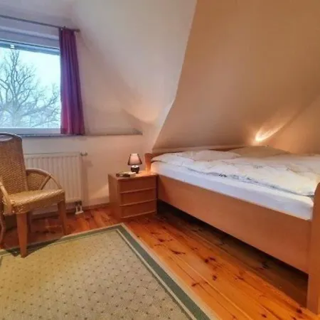 Margerite * Diemitz (Mecklenburgische Seenplatte)