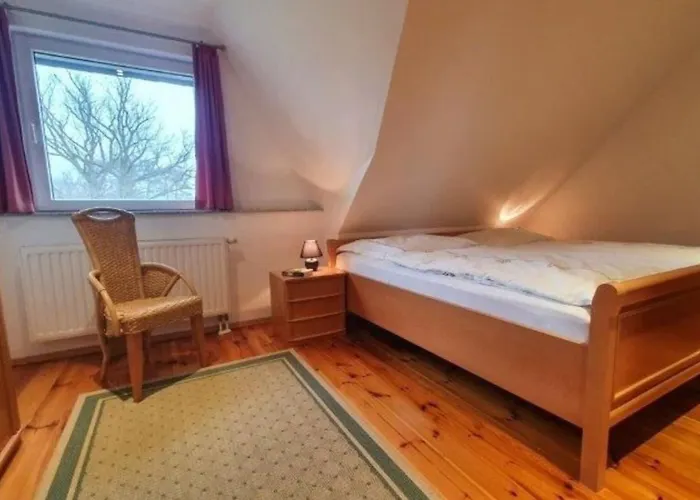 Margerite * Diemitz (Mecklenburgische Seenplatte)